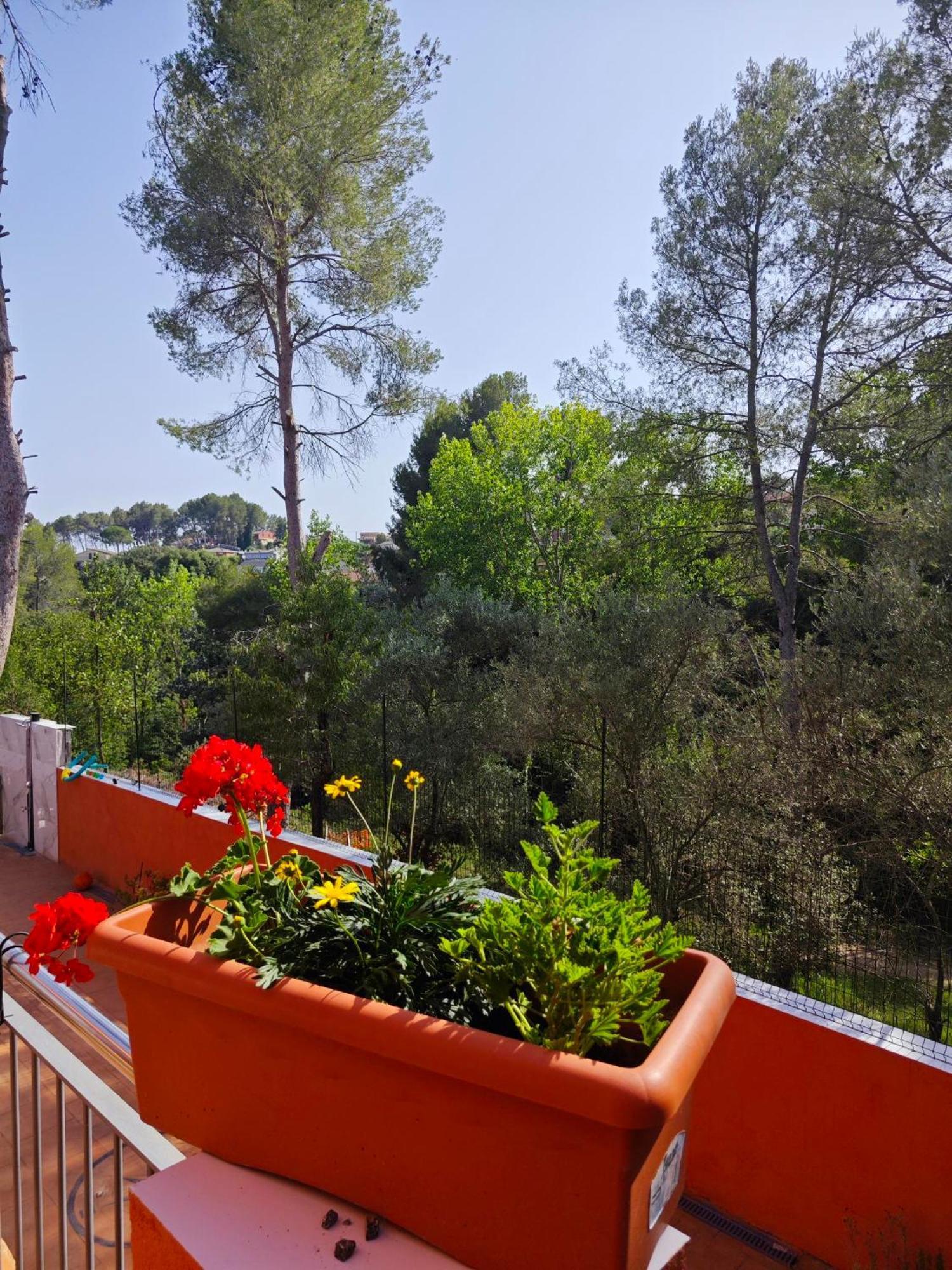 Relax House Barcelone Villa Sant Esteve Sesrovires Exterior photo